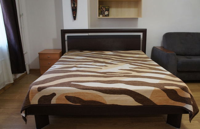 Hotel in Apartment Irkutsk - Photo 56