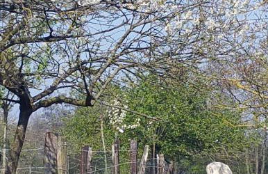 APPART HOTEL LA CENSE PIERROT DES PRINCES - Foto 7