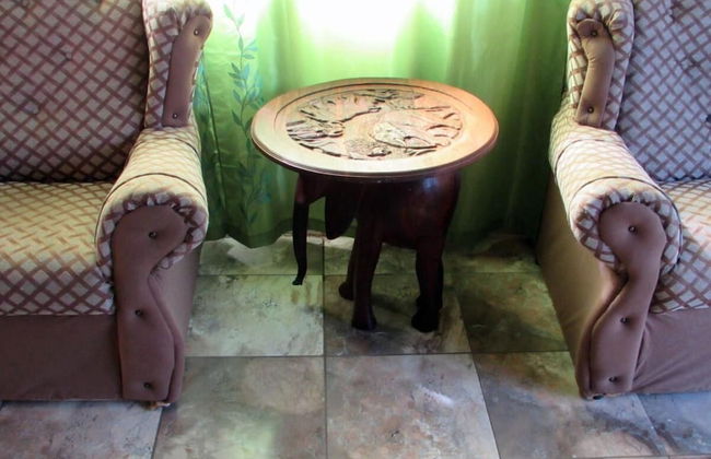 Amazing Tree in Lounge Eco Apartment With Leopards Passing by at Night - Foto 6