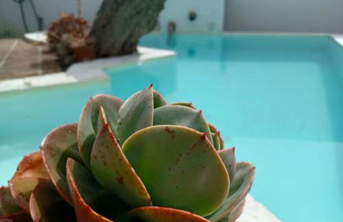 Estrela do Corval - Foto 6