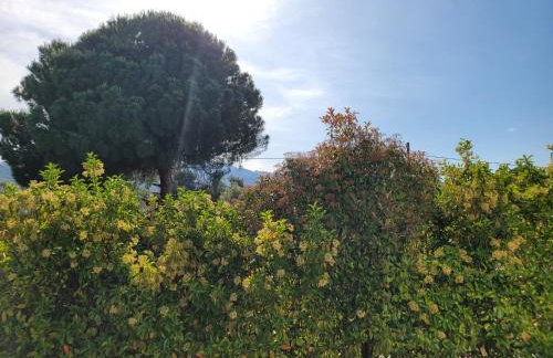 Green House Marathon - Greece - Foto 40