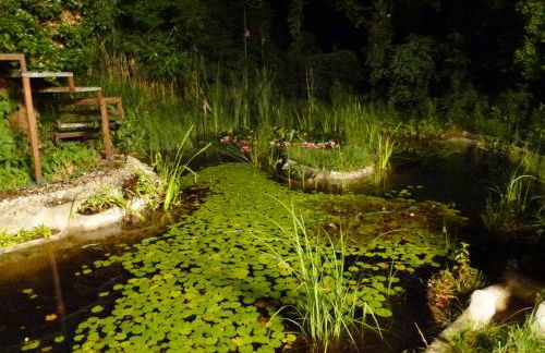 Villa-Hufeland - Foto 111