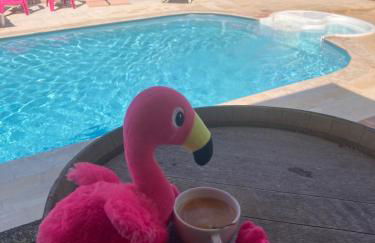 Les Bougainvillées de Camargue - Photo 54