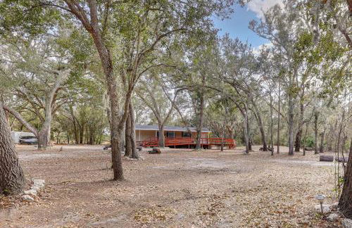 Valrico Retreat with Fire Pit about 18 Mi to Tampa! - Foto 32