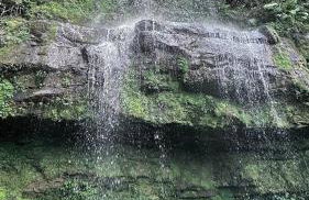 The Valley Cabin - Photo 14