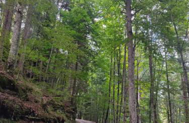 La casa di Leo - Foto 47