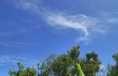 Villa Linda - Foto 46