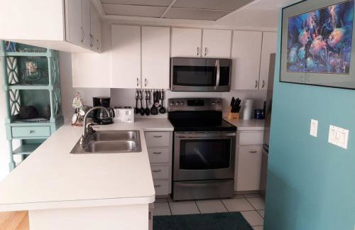 Florida Condos on Lake Tarpon - Foto 70