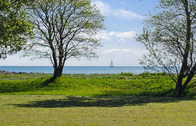 "Elba" - 100m from the sea - Foto 8