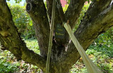 NEW Spacious House with large garden - Foto 43