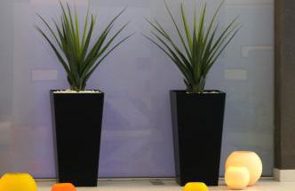 ALIA appartements & wellness - Foto 57