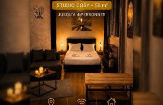Escale de Sériane Grand Studio 50m2 Centre Ville - Foto 1