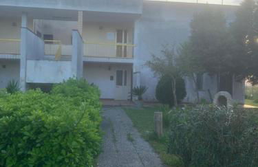 Ippocampo alba e tramonto - Foto 11