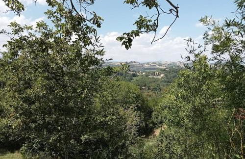 Casa RosaMatilda - Foto 19