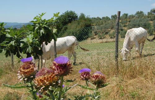 Agriturismo Casale dei Frontini - Photo 137