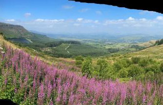 Herbert Place - Foto 41