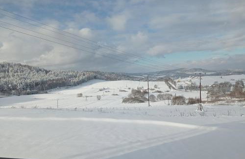 Bieszczadzki Horyzont Apartamenty - Photo 67