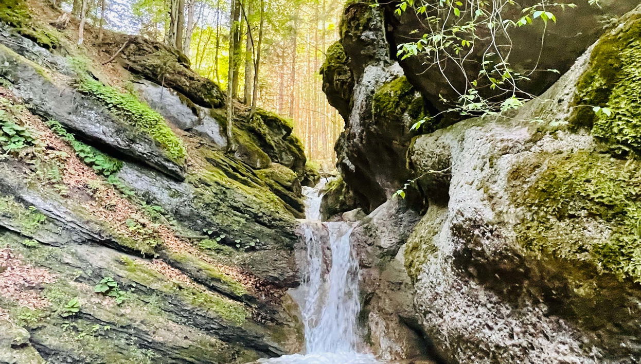 Day Trip to Seven Ladders Canyon - Foto 1