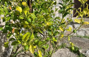 Casa con vistas impresionantes - Foto 26