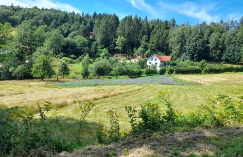 Zakątek Słoneczny pod Baranią Górą - Foto 34