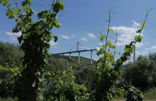 'Ferienhaus Mosel' mit kostenfreien ÖPNV-Ticket - Foto 31