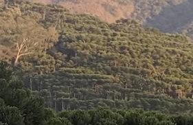 Canto do sossego - Foto 39