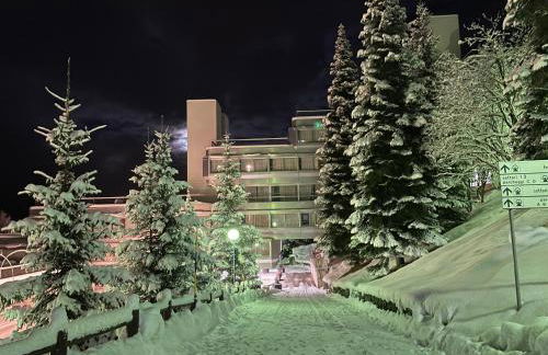 Appartamento Cinzia Residence Solaria Marilleva 1400 - Foto 9