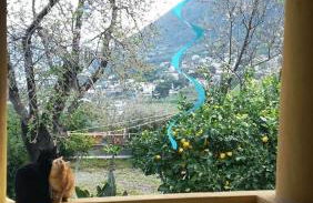 la casa di titti e jack - Foto 4