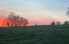 Chez Iréne - Foto 35