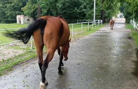 Apartament u Agaty Czernichów Kraków Zator - Foto 68