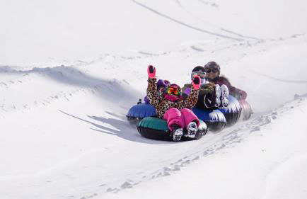 High Pines Haven - Foto 22