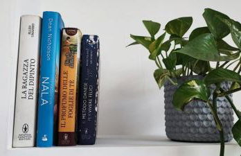 All'ombra del pino ALLOGGIO TURISTICO - Foto 25