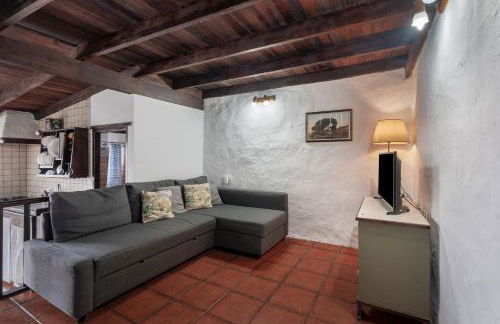 Tesbabo Rural - Camelia - Foto 2