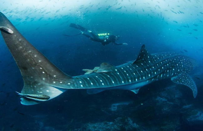 Impressively designed and decorated 3rd-floor space overlooking pool in Coco - Photo 34