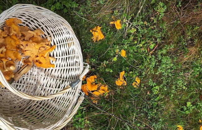 6 Person Holiday Home in Averoy-by Traum - Foto 34