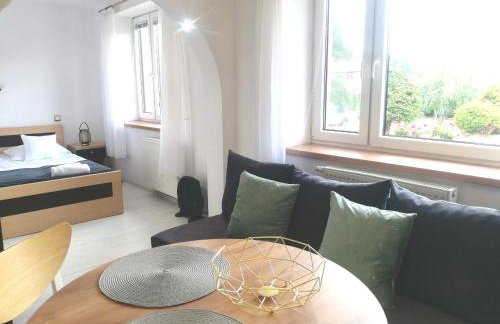 SKALNY apartamenty, pokoje - Foto 73