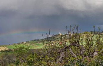 Joka B&B e Home Food - Foto 16