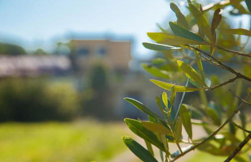 Agriturismo La Vecchia Fattoria - Foto 94