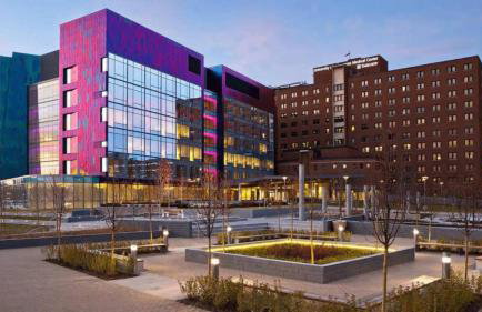 Cozy Studio Escape Near Downtown Minneapolis - Photo 33