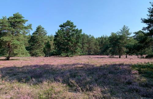 Wassermühle Habighorst - Foto 36