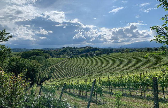 Premium Private Prosecco Hills Tour - 2 Cantine. Tour privato. - Foto 35