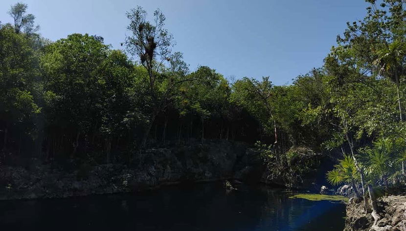 Ciénaga de Zapata National Park Tour - Foto 2