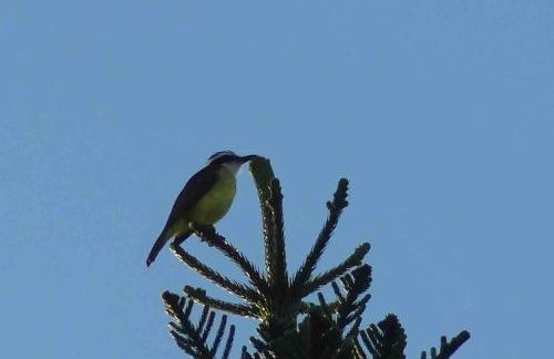 JoaquinaHouse Paraíso exclusivo, acesso a praia - Foto 59