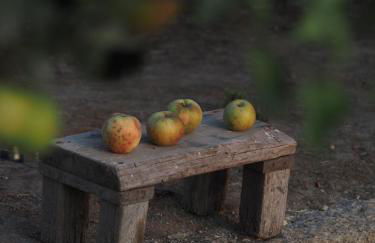 Casa do Muro Alto - Foto 13