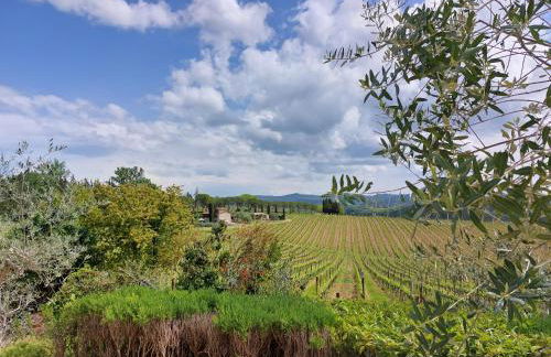 Agriturismo San Sano - Foto 19