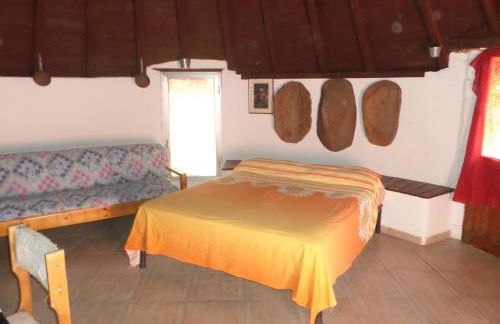 Pinnettu sardo tipica abitazione sarda in ecosistema insetti e animaletti simpatici in condivisione bagno esterno a 10metri Leggere attentamente Prima di prenotare - Foto 40