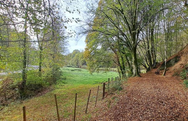 Family Villa Near Forest - Photo 20