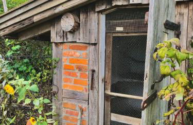 Gemütliches Studio-Apartment in Ostseenähe - Cosy Wulfi - Photo 27