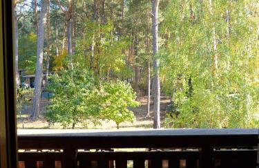 Auf der Heide - Ferienhaus für 6 Personen - Foto 31