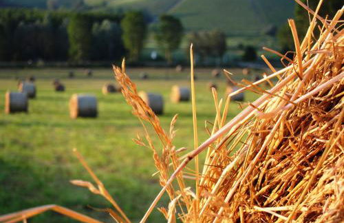 Agriturismo La Mussia - Foto 135